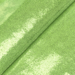 Lack Shine kiwi-silber mit Lack Beschichtung und viel Glanz